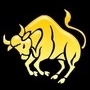 Byk